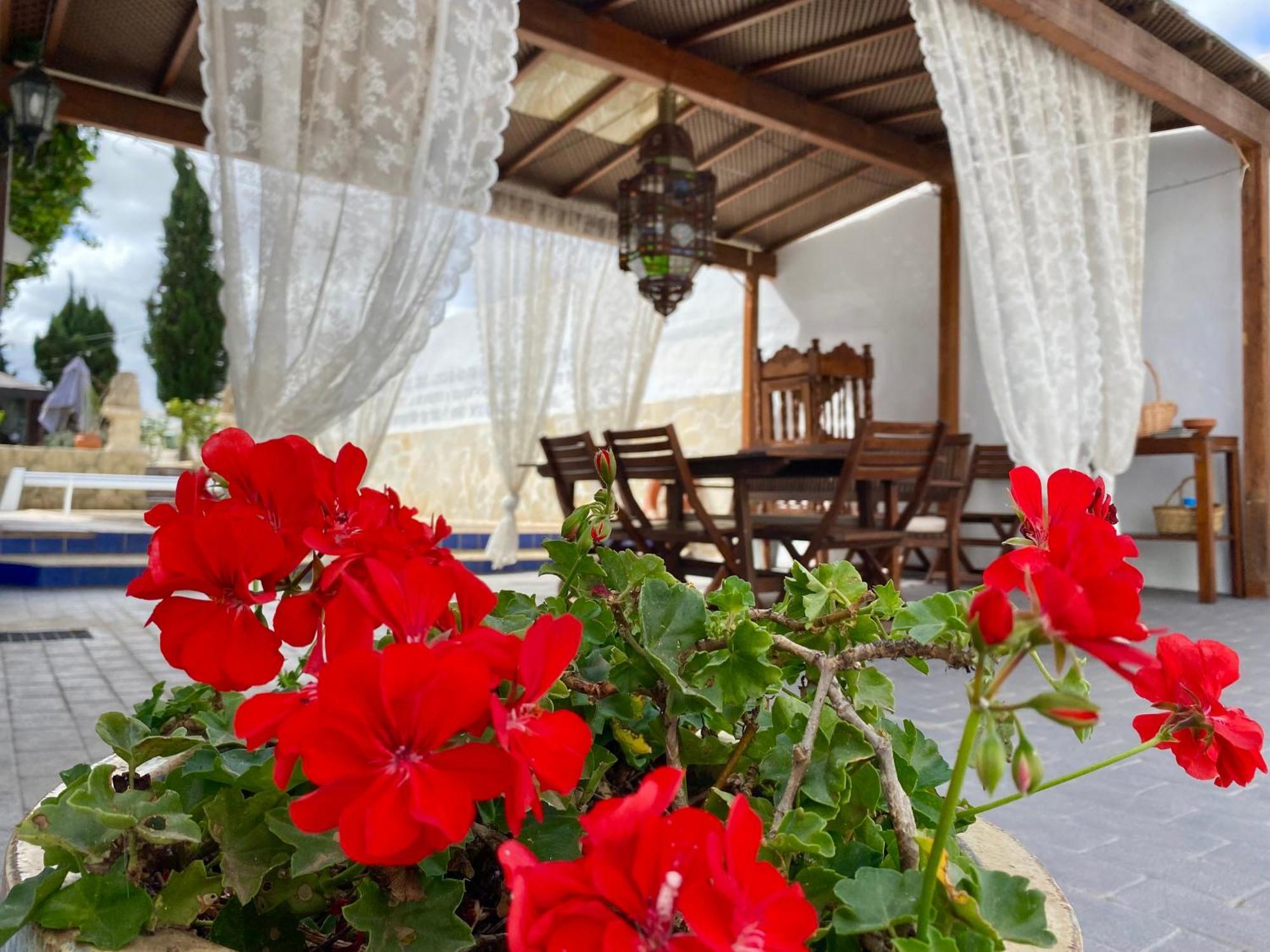 Authentic Canary Style Villa With Private Pool And Garden- Casa Juan Vera Granadilla De Abona Exterior photo