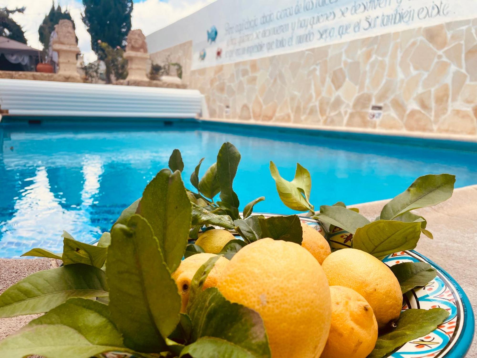 Authentic Canary Style Villa With Private Pool And Garden- Casa Juan Vera Granadilla De Abona Exterior photo